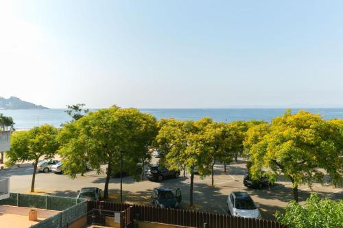 ImagenMILLENIUM 1 2-2 1