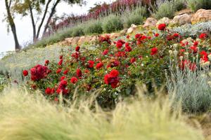 ImagenHotel Aires de l'Emporda 4