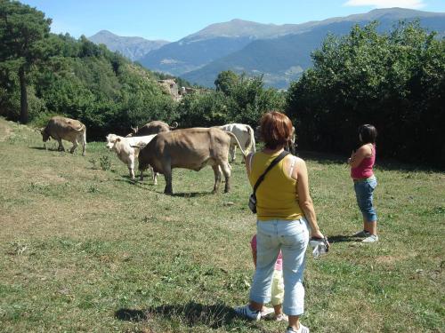 ImagenHotel Terralta 1