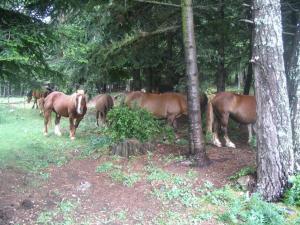 ImagenHotel Terralta 5