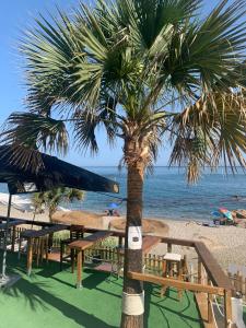 ImagenHotel Patricia 4