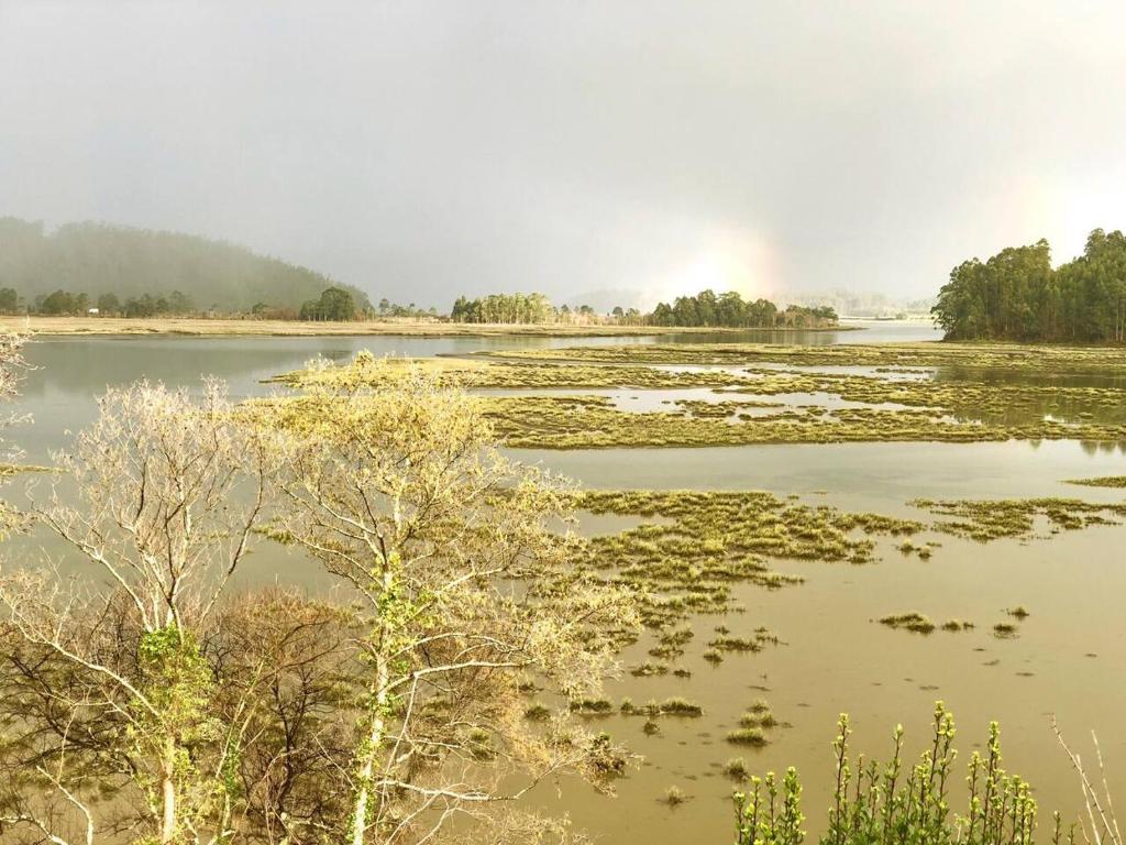 The Cliffs - Ortigueira SeaLochimagen principal