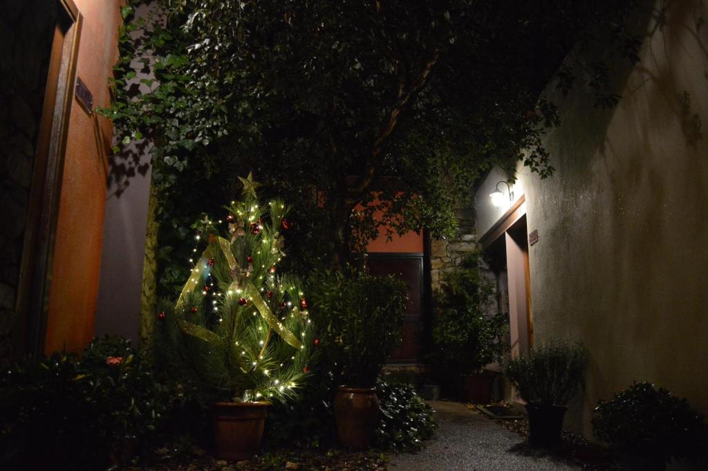 Apartamentos Rurales San Pedroimagen principal