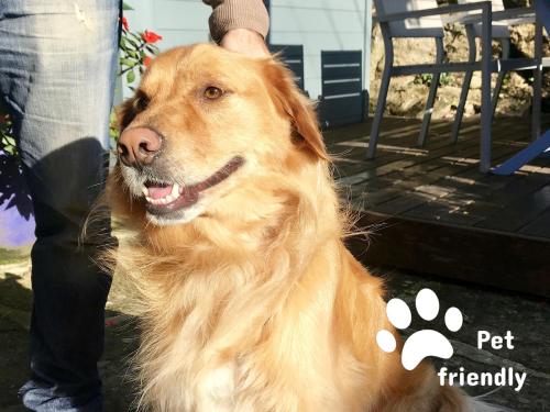 ImagenQuinta de San Amaro Hotel Y Restaurante 1