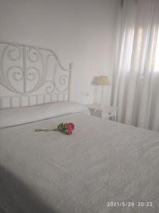 ImagenApartamentos turísticos Sanlúcar Beach 2 y 3 6