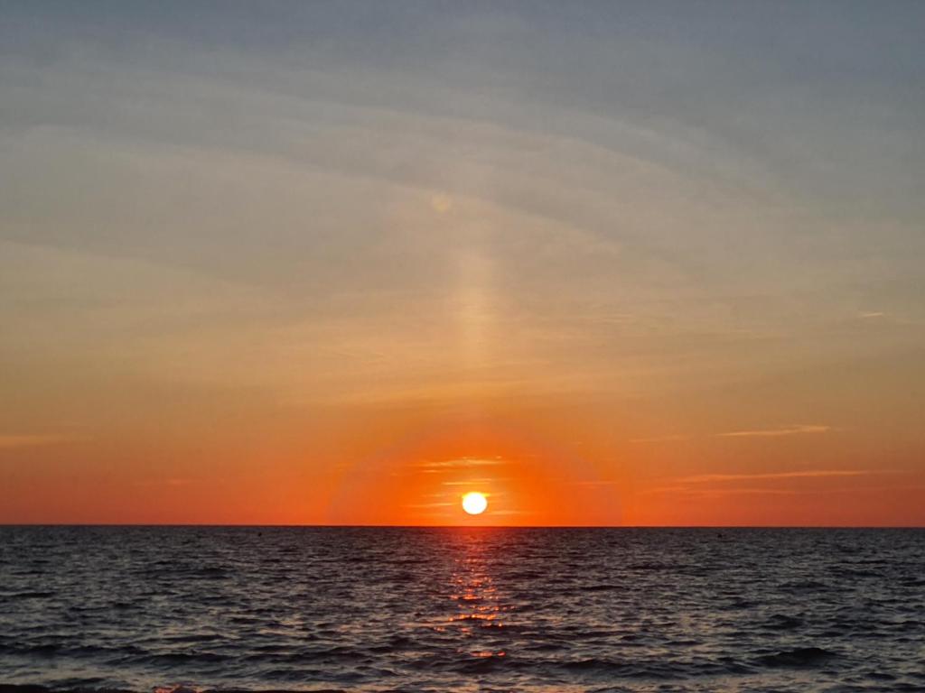 JAZMIN LUXURY CHIPIONAimagen principal