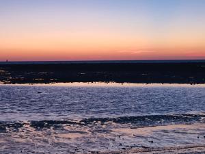 ImagenGITANILLA LUXURY CHIPIONA 4