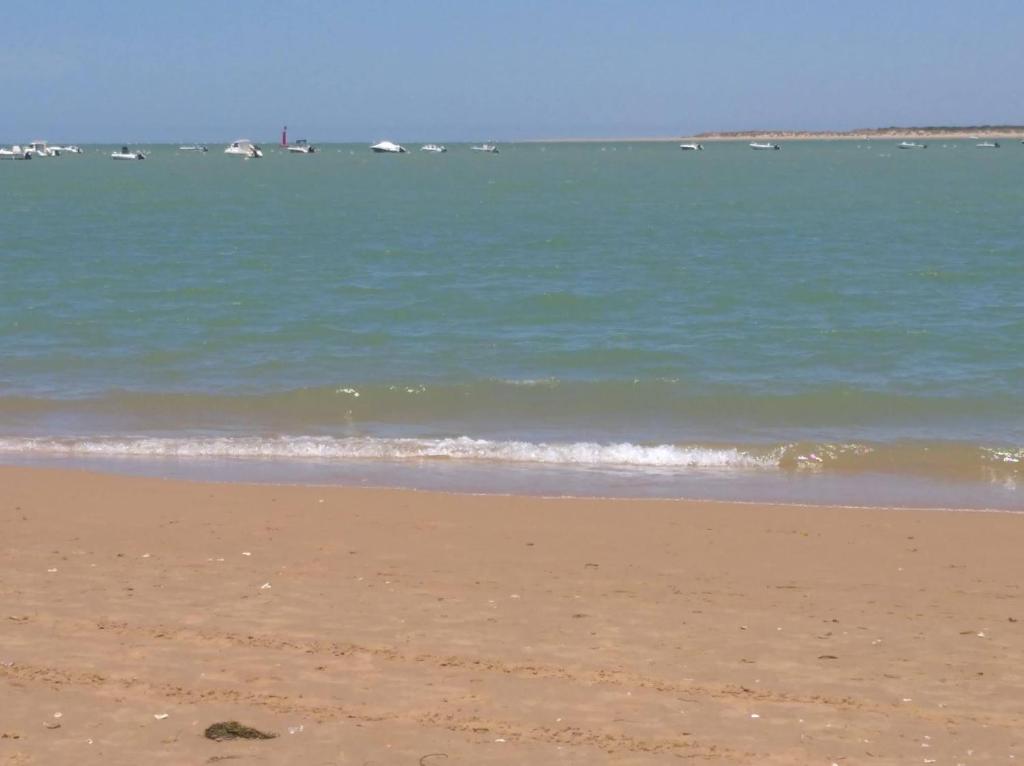 El apartaitoimagen principal