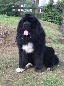 ImagenHostal Les Fonts 6