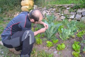 ImagenHostal La Muntanya 6