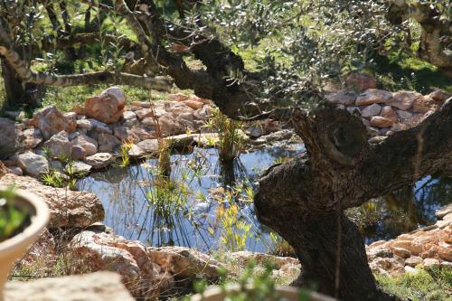 ImagenCasa Rural Delta del Ebro Ecoturismo 1