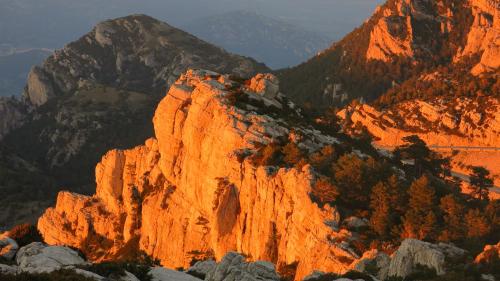 ImagenLa Caseta del Port 2