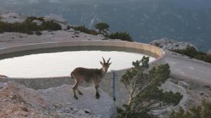 ImagenLa Caseta del Port 3