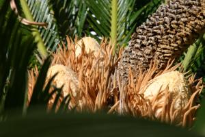 ImagenBirdcage Gay Men Resort and Lifestyle Hotel 3