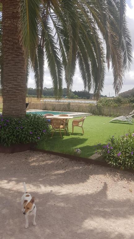 Finca Lavanda hosted by Nicholasimagen principal