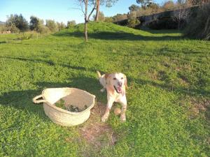 ImagenloftOtel canet 5