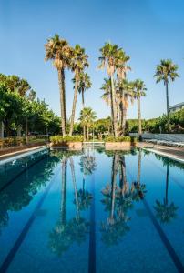 ImagenCamping Bellsol Pets 3