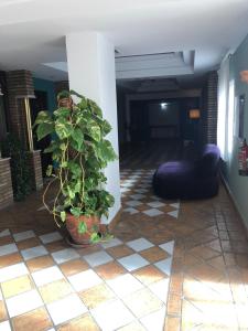 ImagenHotel Don Gonzalo 4