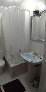 ImagenCoqueto estudio en Maliaño situado en calle semipeatonal 4