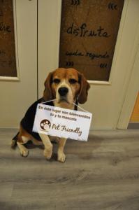 ImagenHospedaje Botin 4