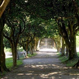 ImagenNH Collection Santiago de Compostela 4