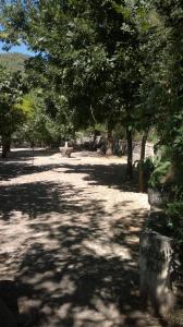 ImagenLa Casa de la Abuela Clotilde 4