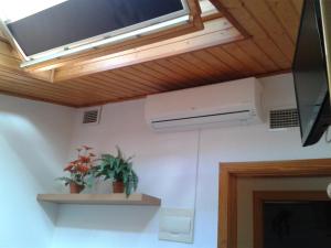 ImagenHostal Arneva Orihuela 4