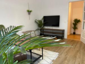 ImagenOktheway Santiago Historic Center 4