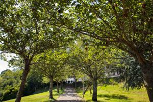 ImagenHotel San Lázaro 5