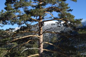 ImagenHotel Rural Marcos 5