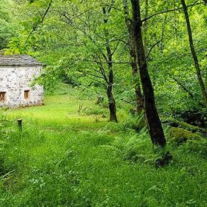 ImagenCasa del rio 4