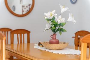 ImagenCan Escandeu 6