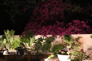 ImagenHostal Nadal 5