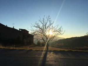 ImagenApartaments Cal Climent 3