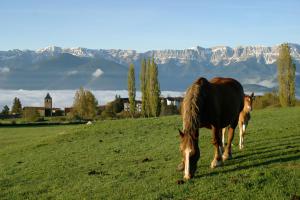 ImagenHotel Mirador 6