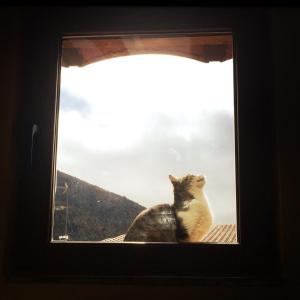 ImagenHotel rural Font del Genil 3