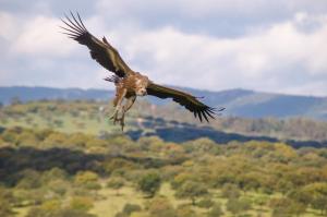 ImagenCasa Rural APAR LA CAÑADA 5