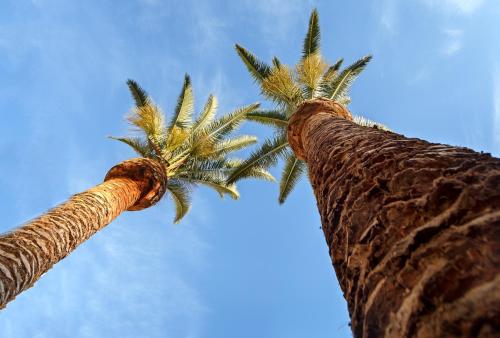 ImagenCáceres Deluxe 1