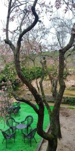 ImagenEl Albergue de Sigüenza 3