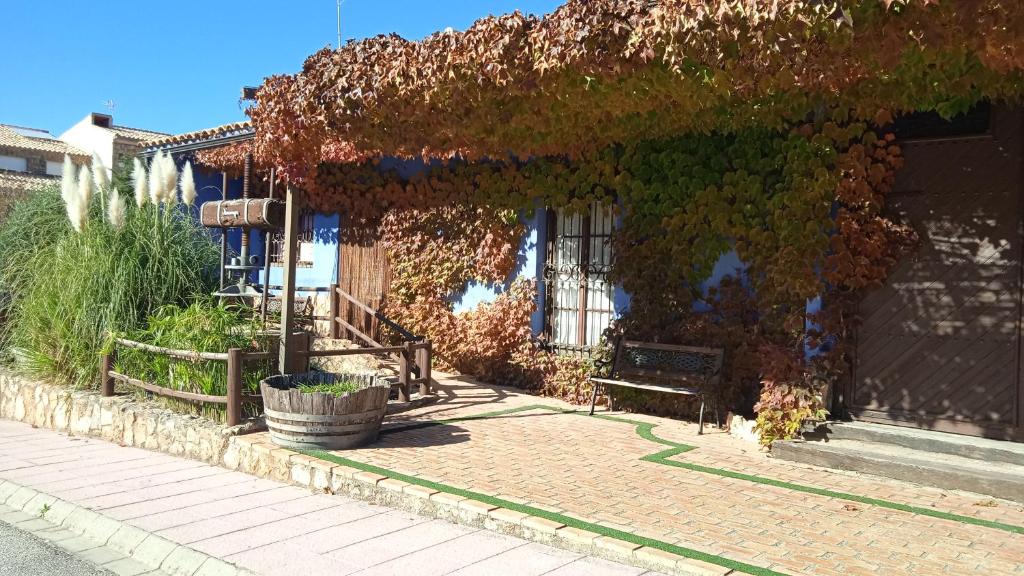 El Quinto Pino Rióparimagen principal