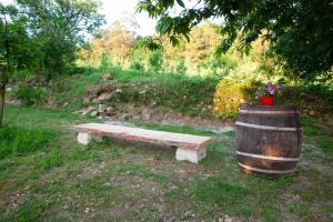 ImagenA Quinta Das Maceiras 10