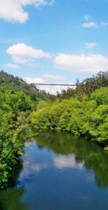 ImagenA Quinta Das Maceiras 7