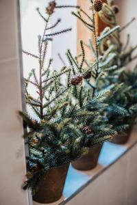 ImagenHotel Resort El Montico - Singular's Hotels 9