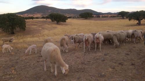 ImagenCasa Rural La Pajarona 2