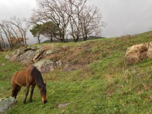 ImagenHotel La Canela 3