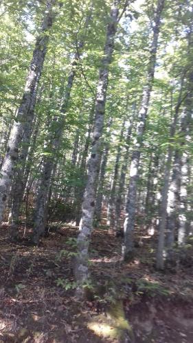 ImagenCasas Valleiruelas 1