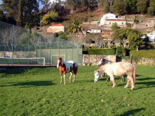 ImagenGranxa O Castelo 2