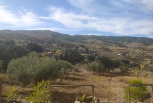 ImagenCasa La Colina Mandarina II Casa de madera 5