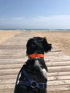 ImagenHugo Beach Hotel 4