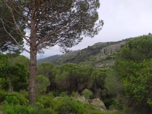 ImagenCasa Rural La Pajarona 1